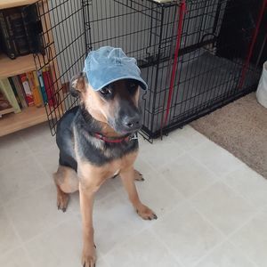 Meet your Posher, Kimberly